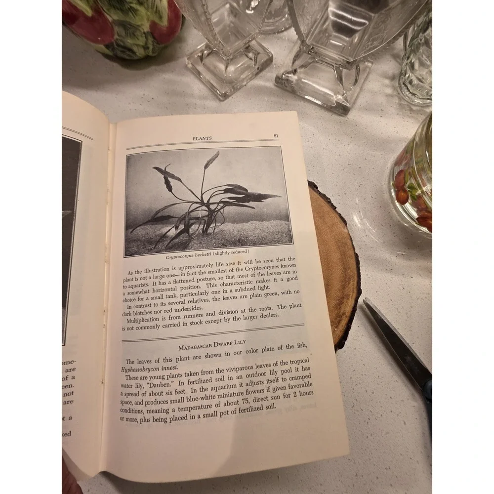 N/A product hardcover
